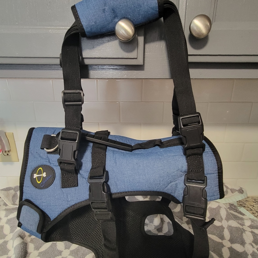 Pet Harness